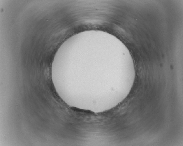 X0000069401061200606091736