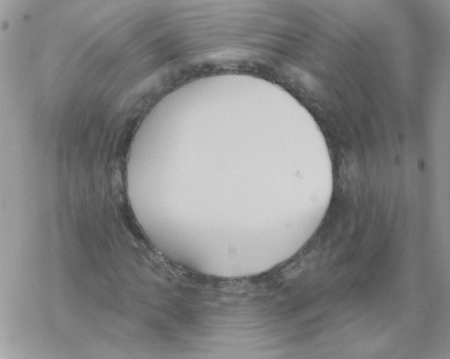 X0000069401062200606091736