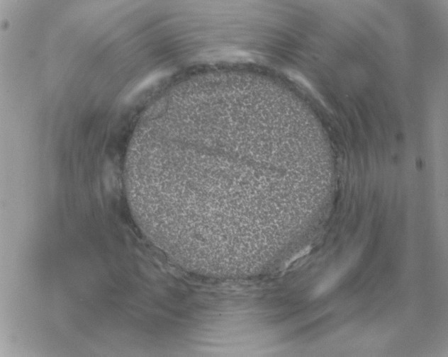 X0000069401063200606091736