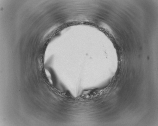 X0000069401064200606091736