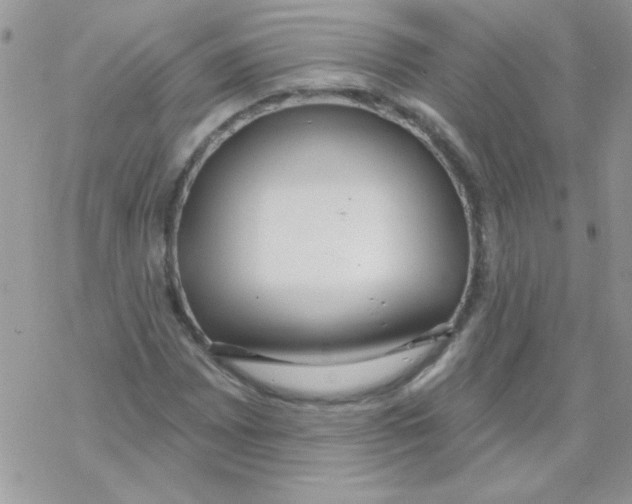 X0000069401065200606091736