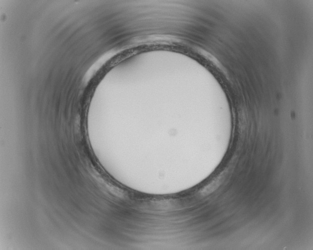 X0000069401066200606091736