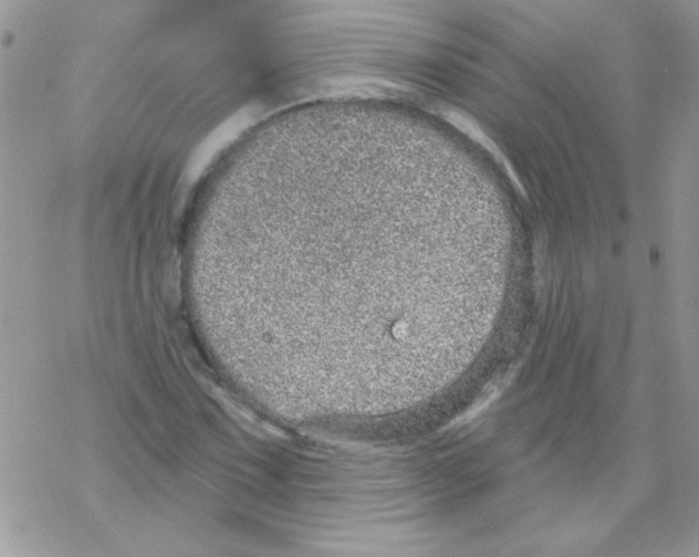 X0000069401067200606091736