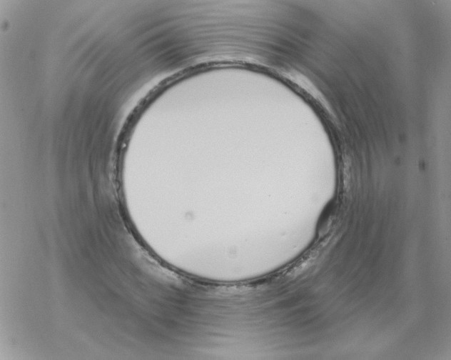 X0000069401068200606091736