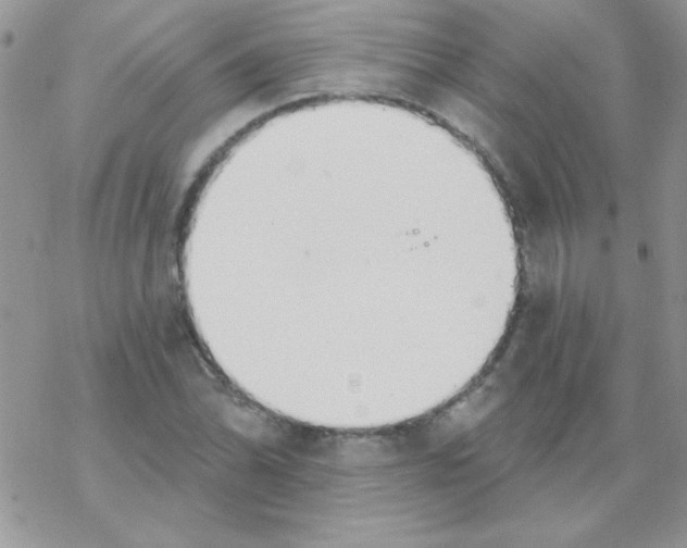 X0000069401070200606091736