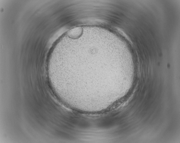 X0000069401071200606091736