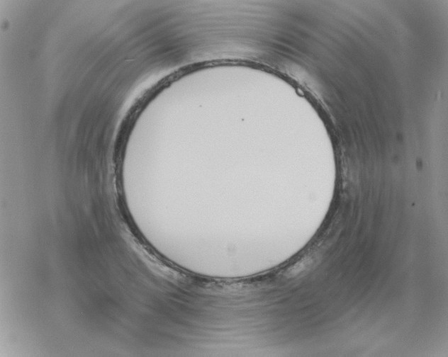 X0000069401072200606091736