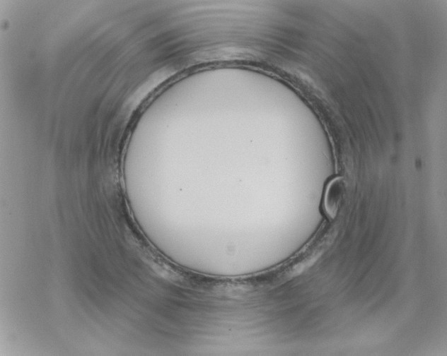 X0000069401073200606091736