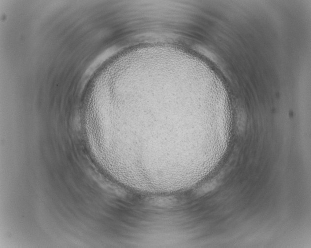 X0000069401074200606091736