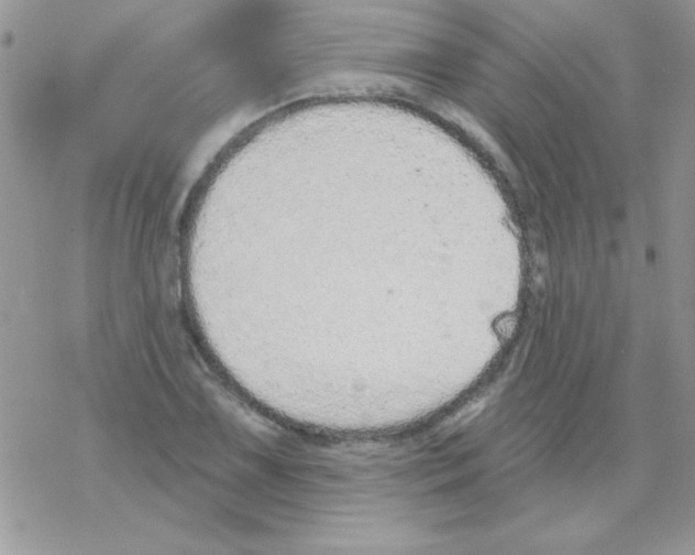 X0000069401075200606091736