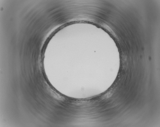 X0000069401076200606091736