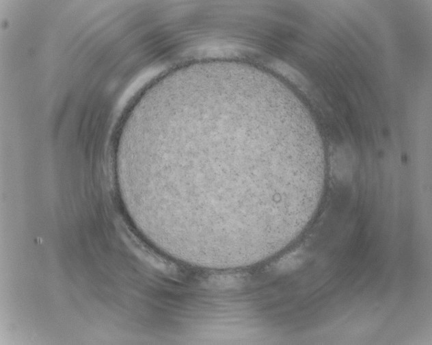 X0000069401078200606091736