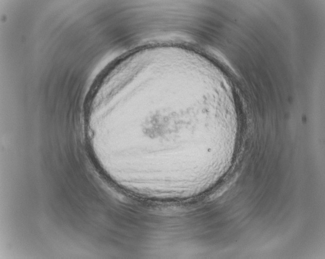 X0000069401079200606091736