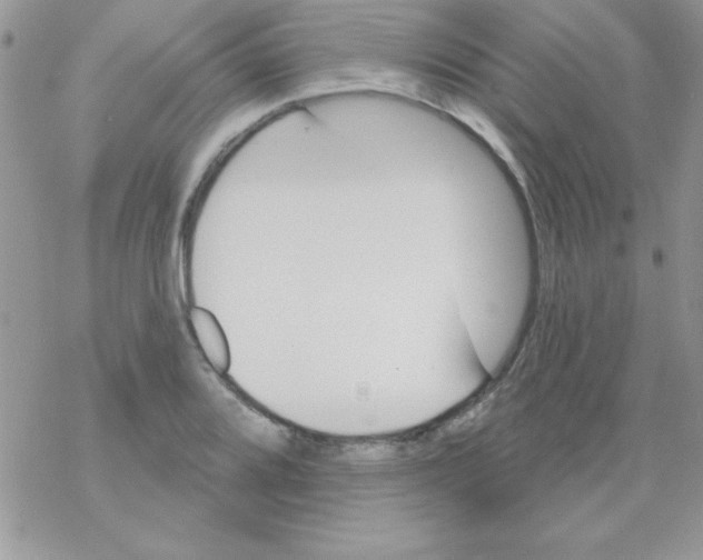 X0000069401080200606091736