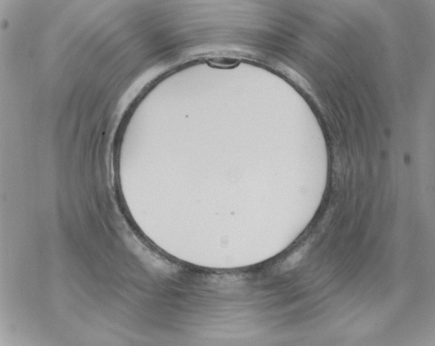 X0000069401082200606091735