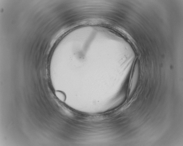 X0000069401083200606091735