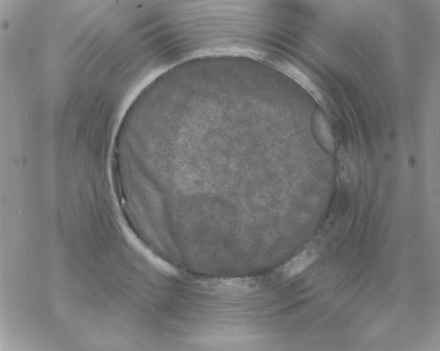 X0000069401084200606091735