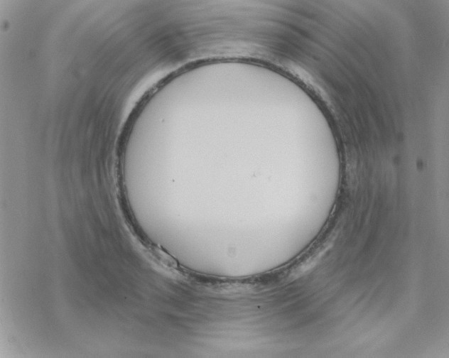 X0000069401085200606091735