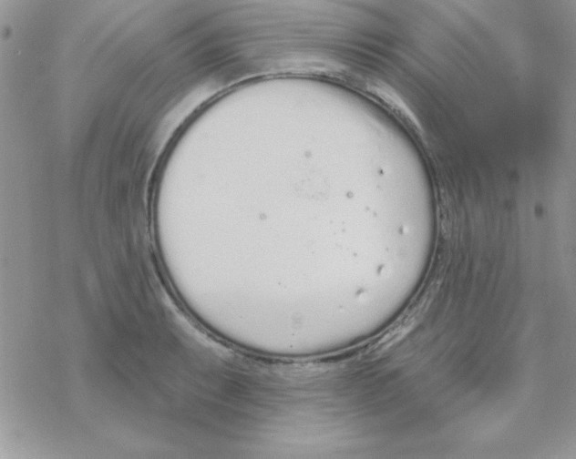 X0000069401087200606091735