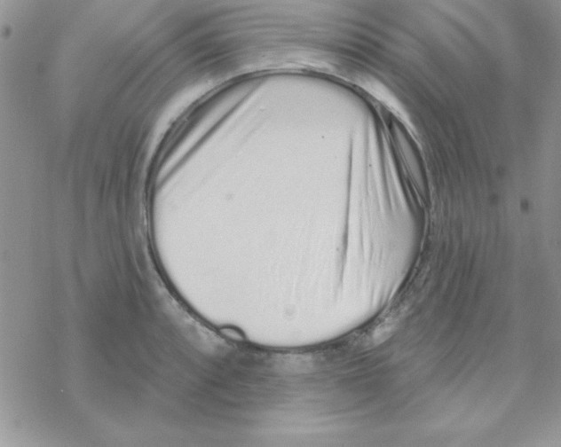 X0000069401088200606091735