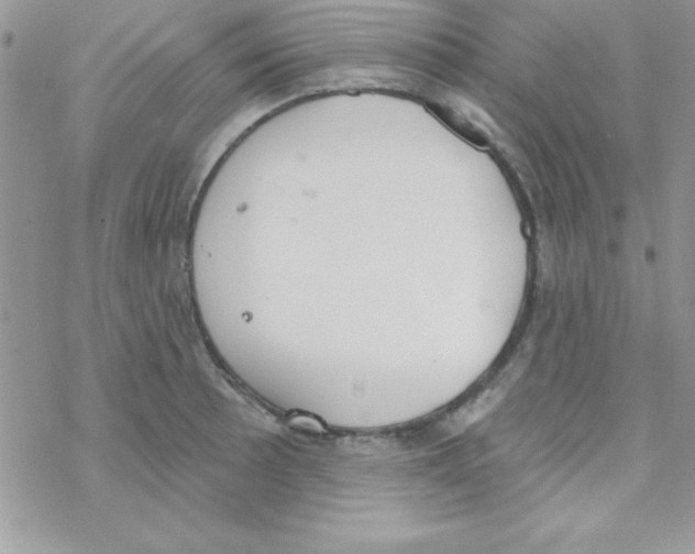 X0000069401089200606091735