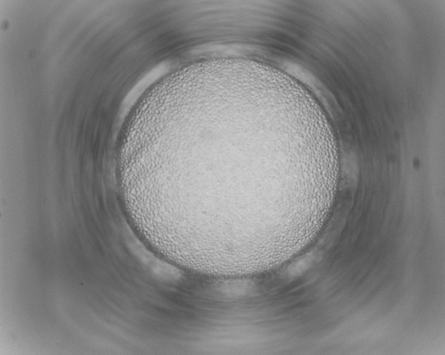 X0000069401090200606091735