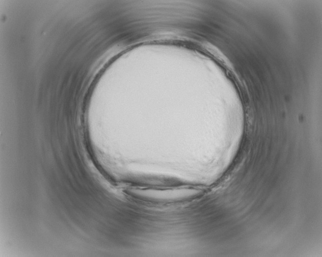 X0000069401091200606091735