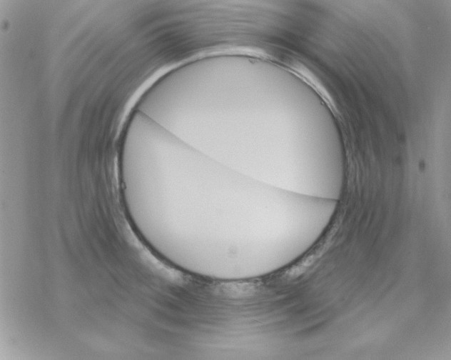 X0000069401092200606091735