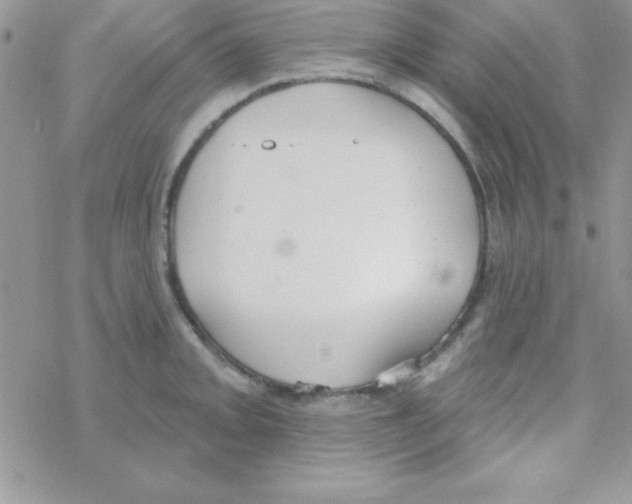 X0000069401093200606091735