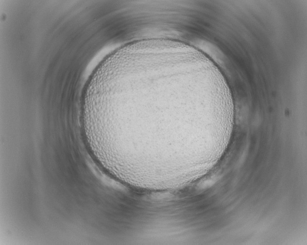 X0000069401094200606091735