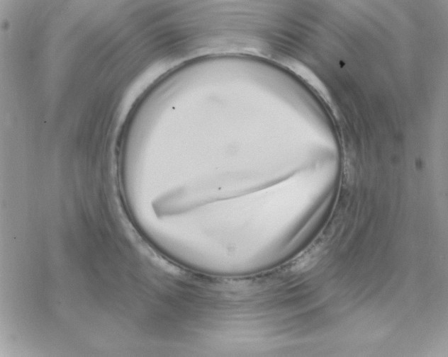 X0000069401096200606091735