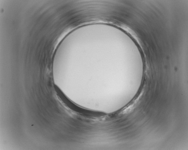 X0000069401097200606091735