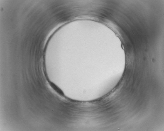 X0000069401100200606091735