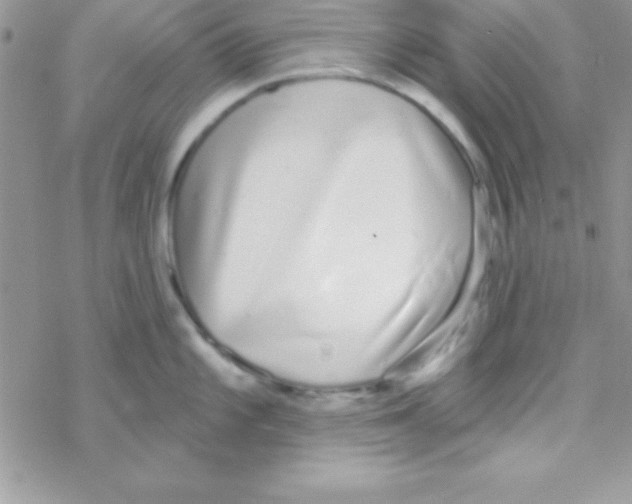 X0000069401101200606091735