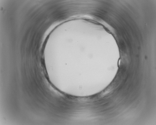 X0000069401102200606091735