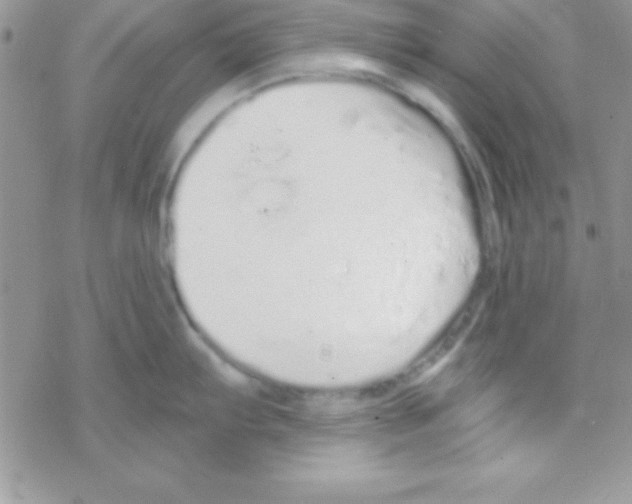 X0000069401103200606091735