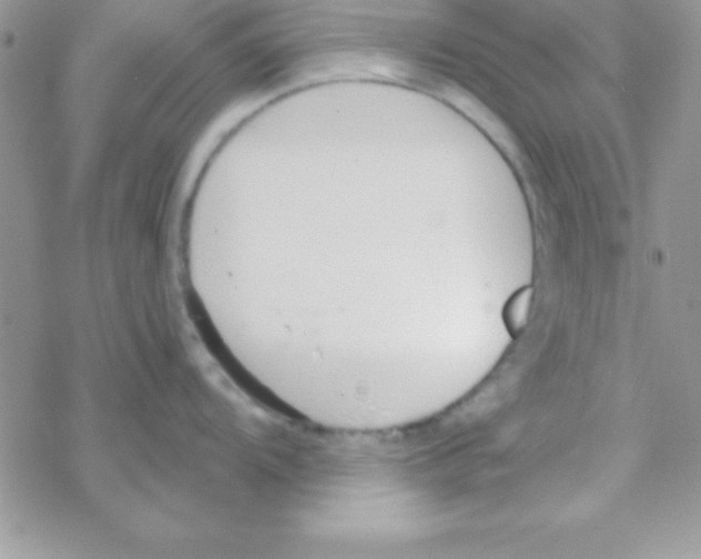 X0000069401104200606091735