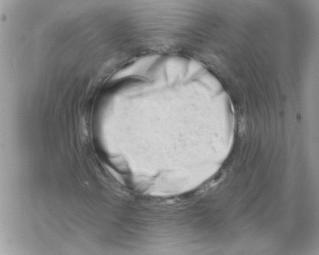 X0000069401106200606091734