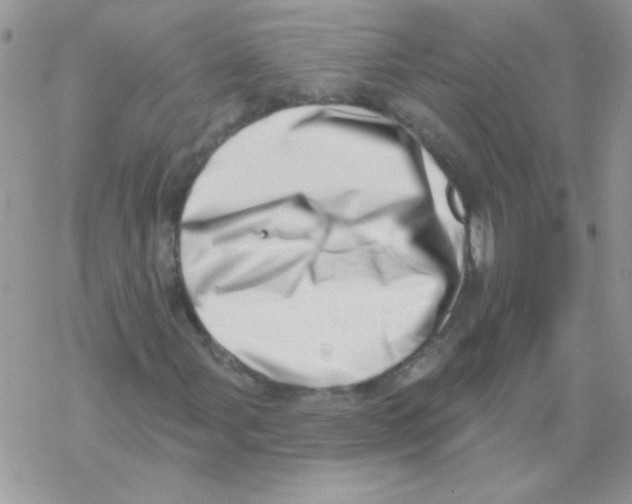 X0000069401107200606091734