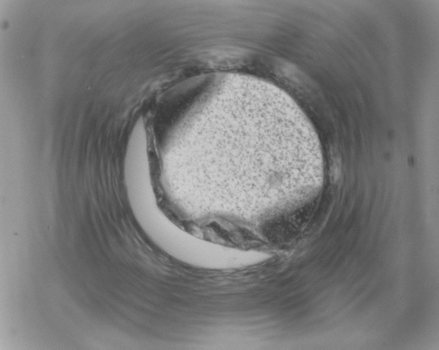 X0000069401108200606091734