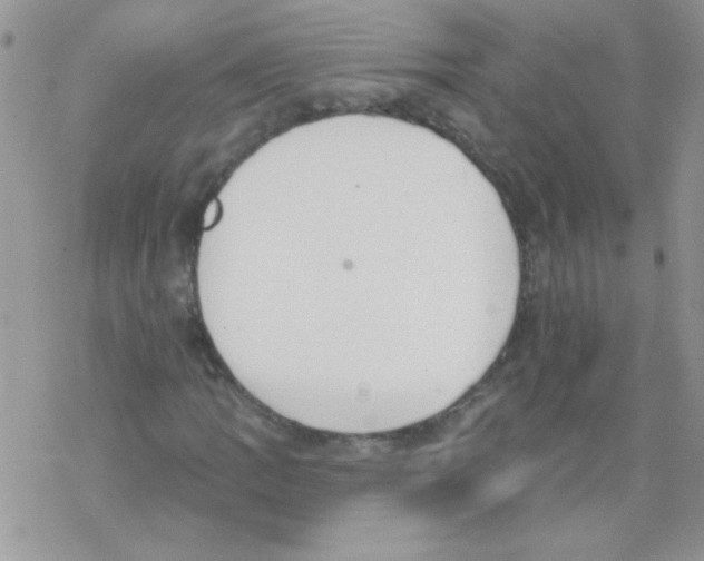 X0000069401109200606091734