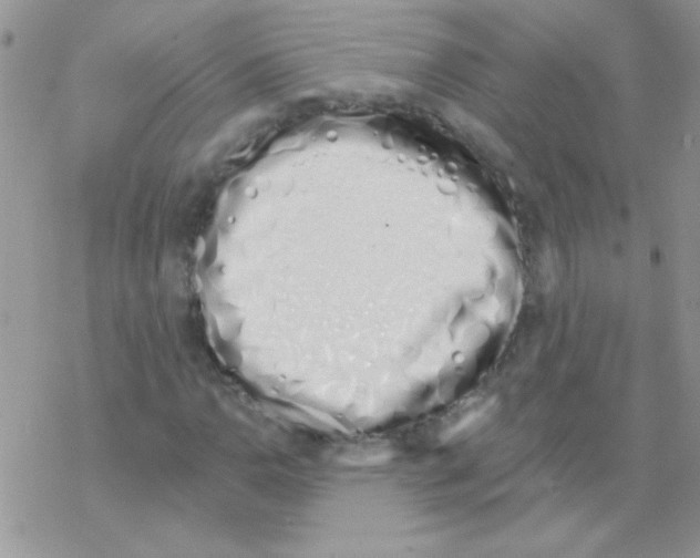 X0000069401110200606091734