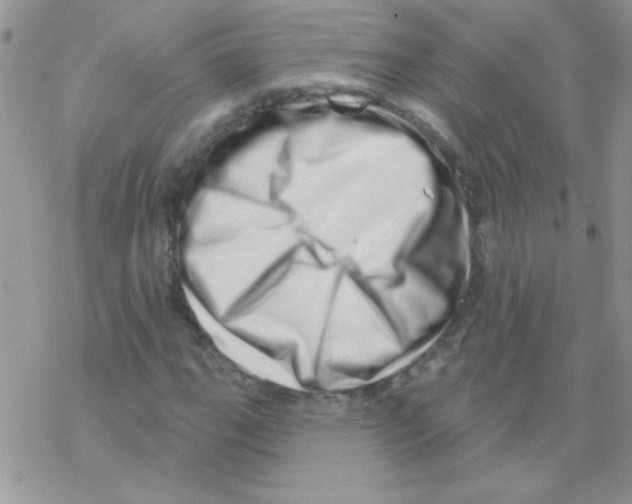 X0000069401111200606091734