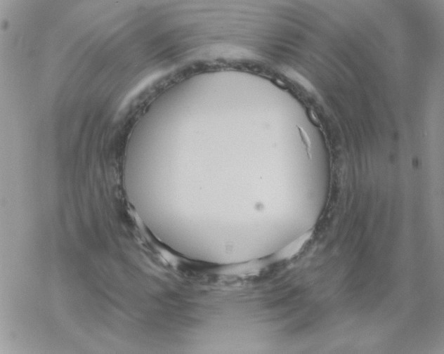 X0000069401112200606091734