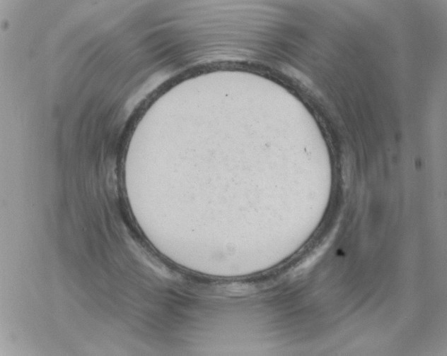 X0000069401113200606091734