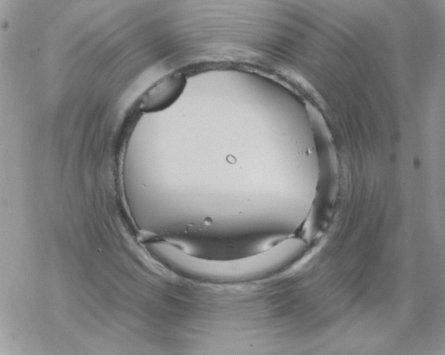 X0000069401114200606091734