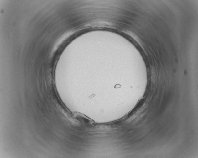 X0000069401115200606091735