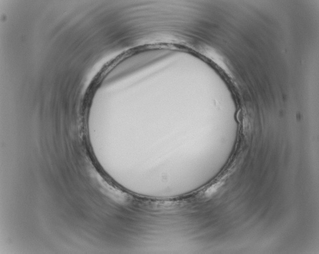 X0000069401116200606091735