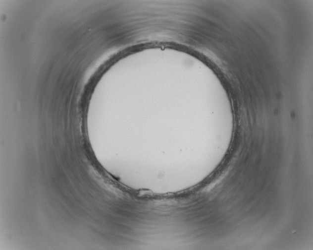 X0000069401118200606091735