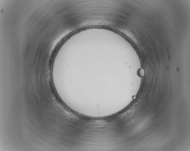 X0000069401119200606091735